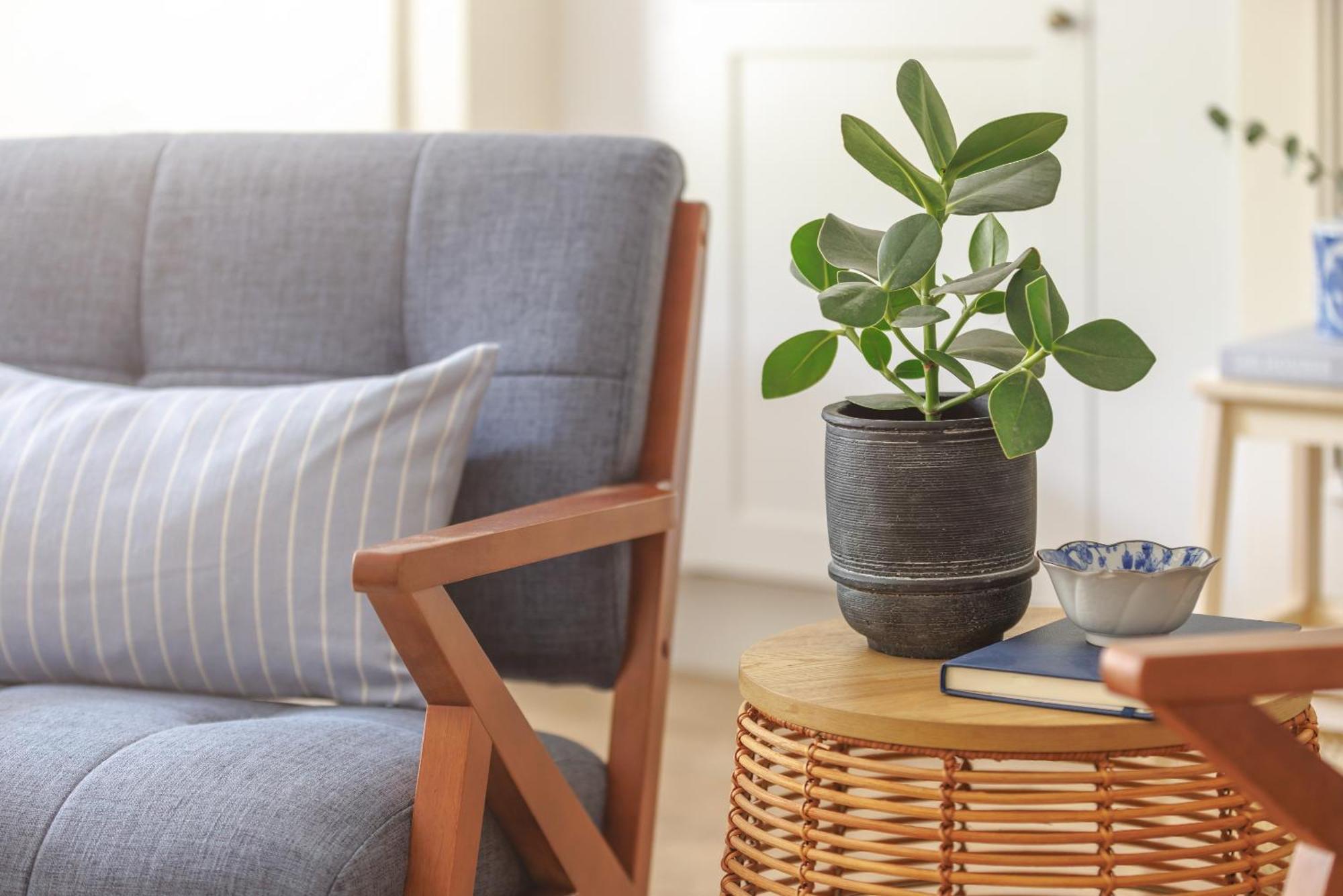 Ocean City Stylish Apartment Plymouth Kültér fotó