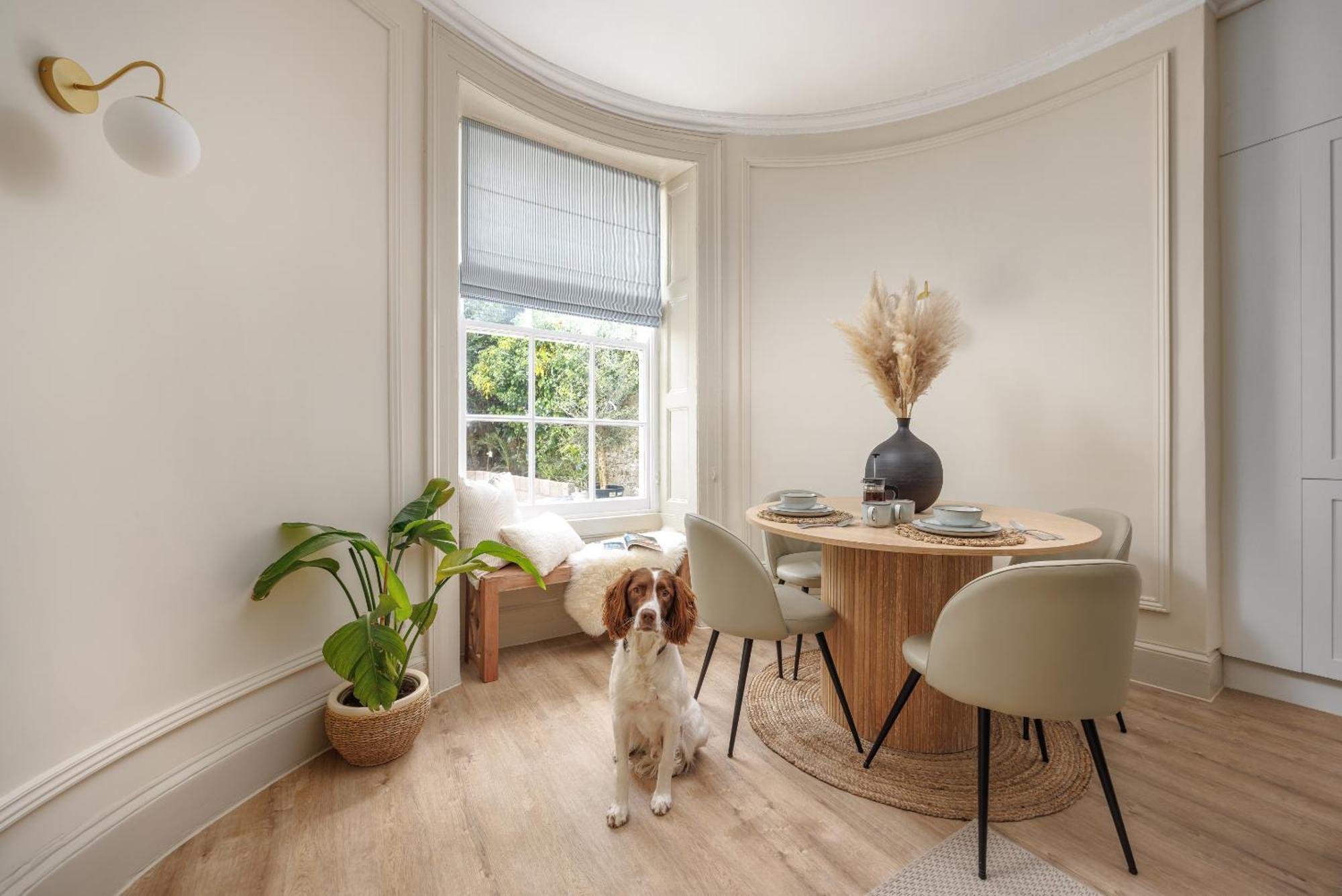 Ocean City Stylish Apartment Plymouth Kültér fotó